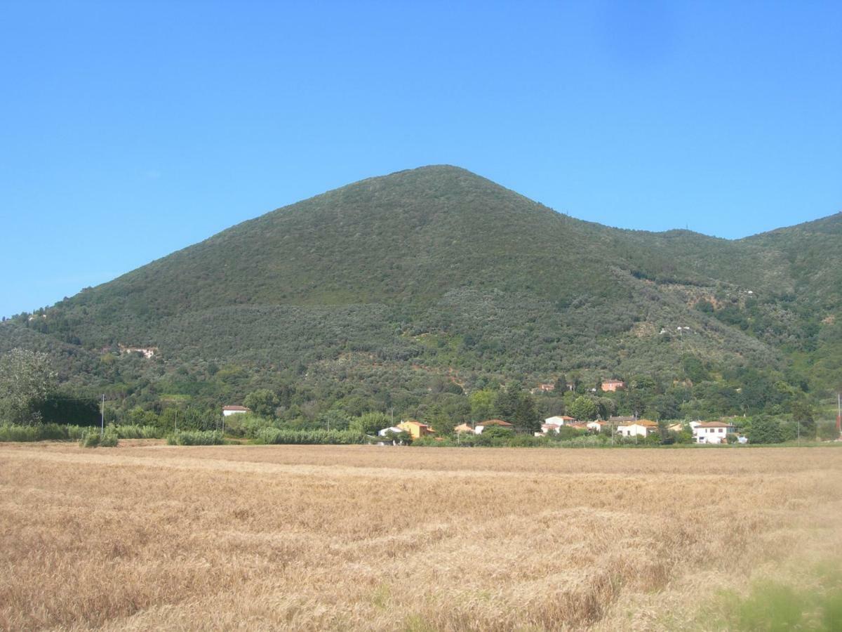 B&B La Rondine Tra Pisa E Lucca San Giuliano Terme Esterno foto